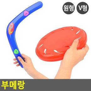 원반놀이/플라잉디스크/부메랑/레저용원반/야외