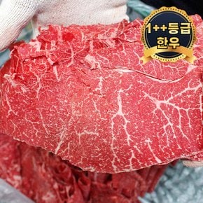 [한국축산]1++등급 암소 한우불고기 300g (냉동)