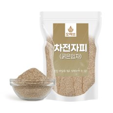 굵은입자 차전자피 250g 차전차피 식이섬유 가루 분말 실리엄허스크