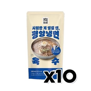 유어스 평양냉면육수 M 아이스파우치음료 230ml x 10개