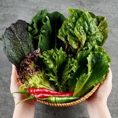 지투지샵 쌈채소 1kg
