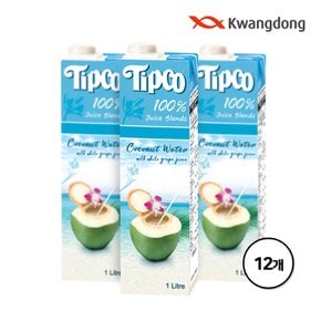 팁코 코코넛워터 혼합주스 1L x 12팩