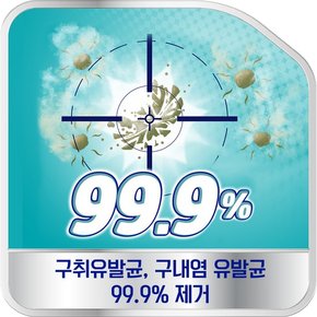 5분 퀵 36정+나이트 36정 의치 세정제