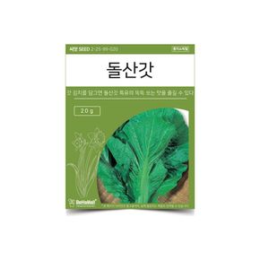 베하몰 텃밭 채소 씨앗 돌산갓