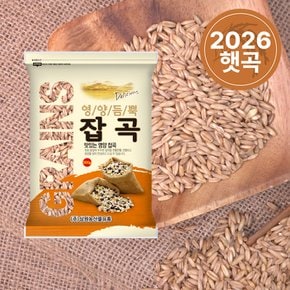 [2026년산] 국산 귀리 500g