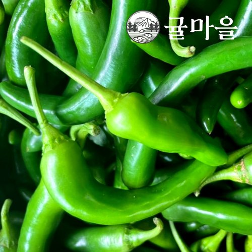추가4이미지