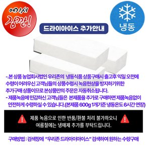 우리존 드라이아이스  1개(600g)