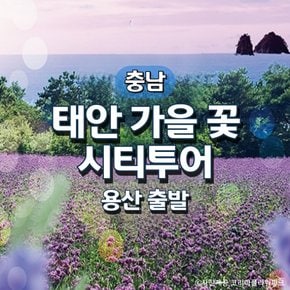 무궁화호 태안 가을꽃 기차여행(용산출발)