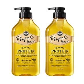 엘라스틴 프로폴리테라 안티에이징 가늘고 힘없는 모발용 샴푸 500ml x 2개