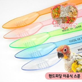 컬러 핸드피딩 이유식 스푼 이유조 급여 아기새 물빠짐
