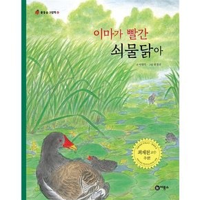 이마가 빨간 쇠물닭아 (물들숲 그림책 17) (양장)