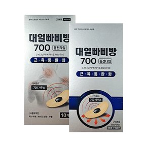 대일 빠삐방 700 10개입 의료용 자기발생기