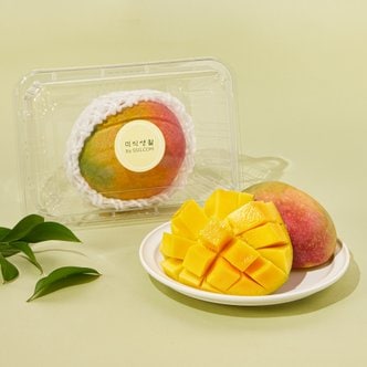 미식생활 [페루산] 알이 큰 애플망고 (1입, 500g)