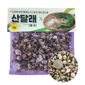 달래씨앗 30g 여러해살이 구근 종구 봄나물 종자