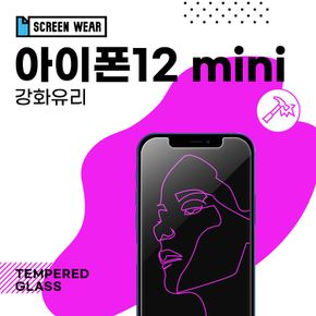 2매 아이폰12 미니 강화유리 보호필름 (A2399)