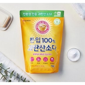 LG 친환경 한.입 100% 과탄산소다 1kg