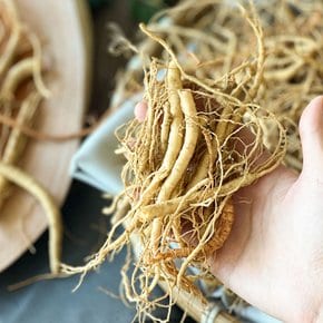 금산 미삼 파지 수삼 5~6년근 500g