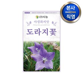 도라지꽃 씨앗 500g . 길경 조경 정원 화단 꽃밭 야생화 꾸미기 꽃씨 종자