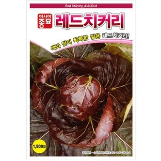 아시아종묘 치커리씨앗종자 레드치커리(1500립) 적쌈이