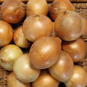 국내산 햇양파 2kg 소