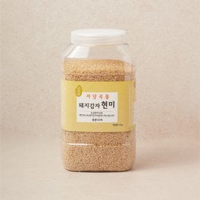 [특가] 돼지감자현미 2kg
