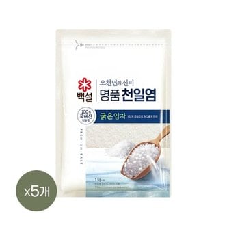 CJ제일제당 [제조일자 2023.08.02] 백설 명품 천일염 오천년의 신비 굵은입자 소금 1kg x5개