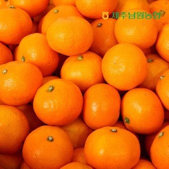 제주남원농협 산지직송 제주 명품 고당도 비가림 감귤 소과 2.5kg (실중량)