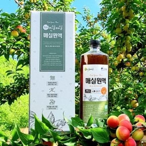 매화골농원 수제 매실청 매실액기스 1000ml