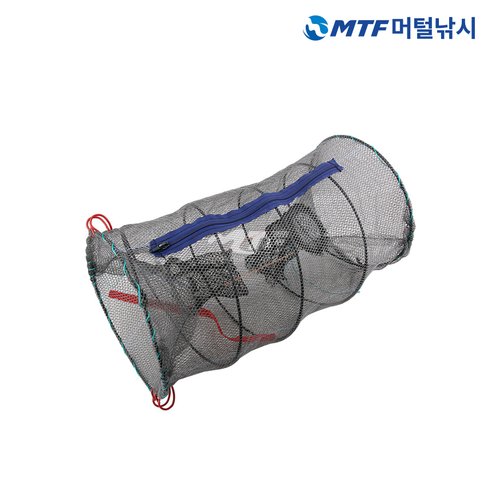 이미지5