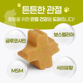9단 강아지 관절 영양제 100g