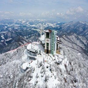 [최소출발인원20명]◆겨울특선◆[KTX-당일] 역사와 전통의 눈꽃축제! 대관령눈꽃축제+평창 발왕산 케이블카