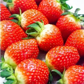 산해직송 설향딸기 한입과 750g / 35-42과