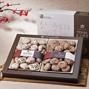 국내산 표고버섯 혼합 선물세트 6호 450g [백화고+흑화고]