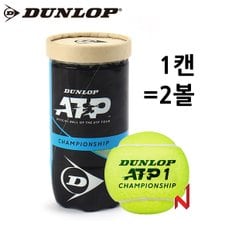 2024던롭 테니스공 ATP 챔피언쉽 시합구 1캔=2개입