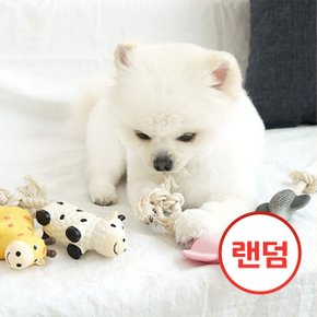 애니멀 로프 토이 강아지장난감
