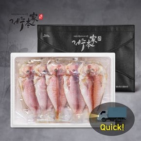 [퀵배송][제주본가][냉동]올래 옥돔세트 1호(8미 1.6kg)