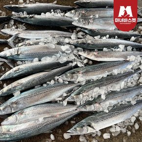 [마녀바스켓] 한끼 간편 손질 삼치구이용(350g 내외) 1미