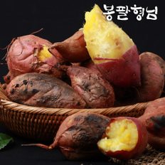 싱싱한 햇밤고구마 특상 5kg 햇고구마