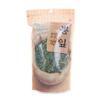 청솔 뽕잎(40g)