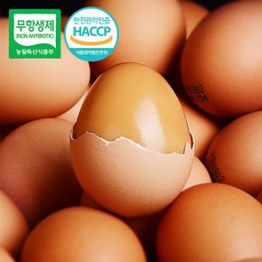 [무항생제/HACCP] 어린닭이 낳아 신선한 구운계란 30구(1판)