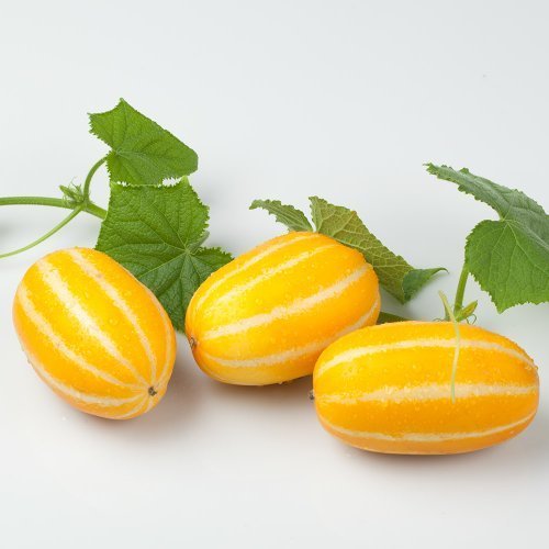 상품이미지3