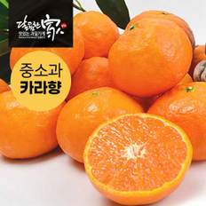 달콤한가 [산지직송]제주 달콤 카라향 2.5kg/중소과(개당100~150g)