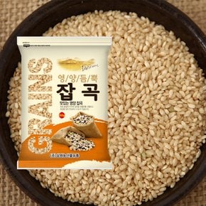[2025년산] 국산 발아현미 500g