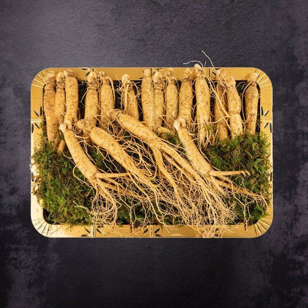 [이푸른] 풍기인삼 6년근 수삼 1호 500g(15-20뿌리) - SSG.COM