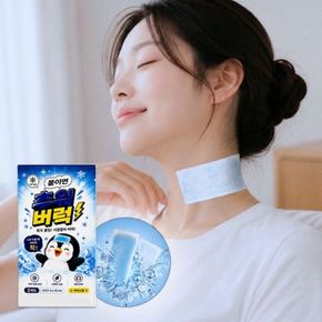 부착형 아이스 쿨링패치 1팩(2매입) (무료배송)[36077531]