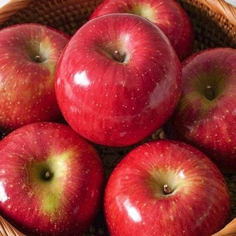 지투지샵 국내산 정품용 부사 사과 4kg 중대과