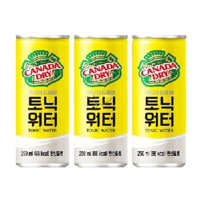 캐나다드라이 토닉워터 250ml/ 20캔