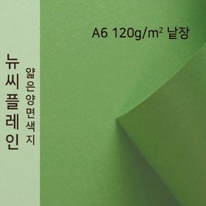 종이문화 뉴씨플레인 얇은 양면색상지 120g A6 No.35 연두색 낱장 1매 색지
