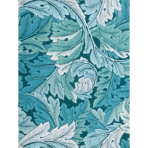 ACANTHUS BLUE