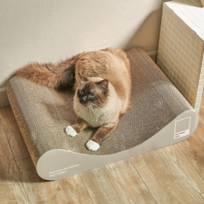 펫톤 고양이 소파 스크래쳐 대형 라이트그레이